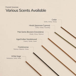White Sage Japanese Incense Stick Set – 30 Sticks with Ceramic Holder