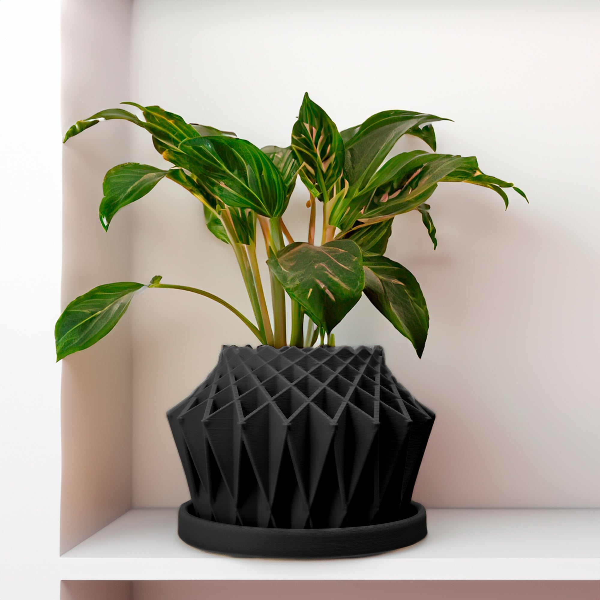 Galaxy Groove Plant Pot