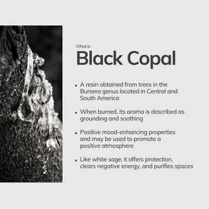Black Copal Incense Sticks – 7 Hand-Rolled Sticks from Peru