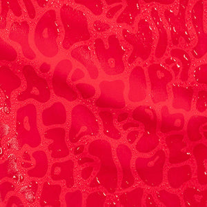 Apex Red | Boys Swim Short