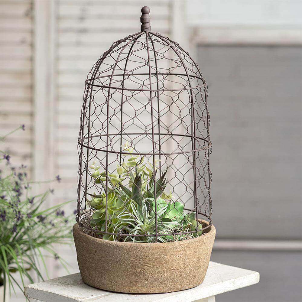 Farmhouse Chicken Wire Cloche with Terracotta Pot
