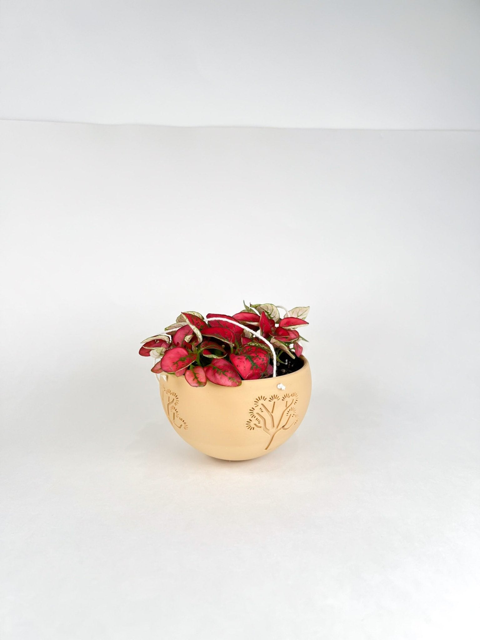Hanging Joshua Tree Planter