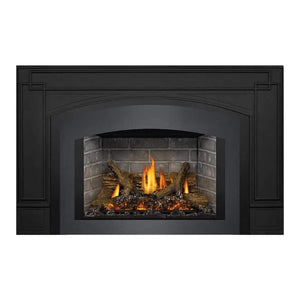 Napoleon Oakville X3/X4 Direct Vent Electronic Ignition Natural Gas Fireplace Insert (GDIX3N/4N-1) (SAK21347)
