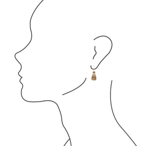 Picture Jasper Slab Earrings