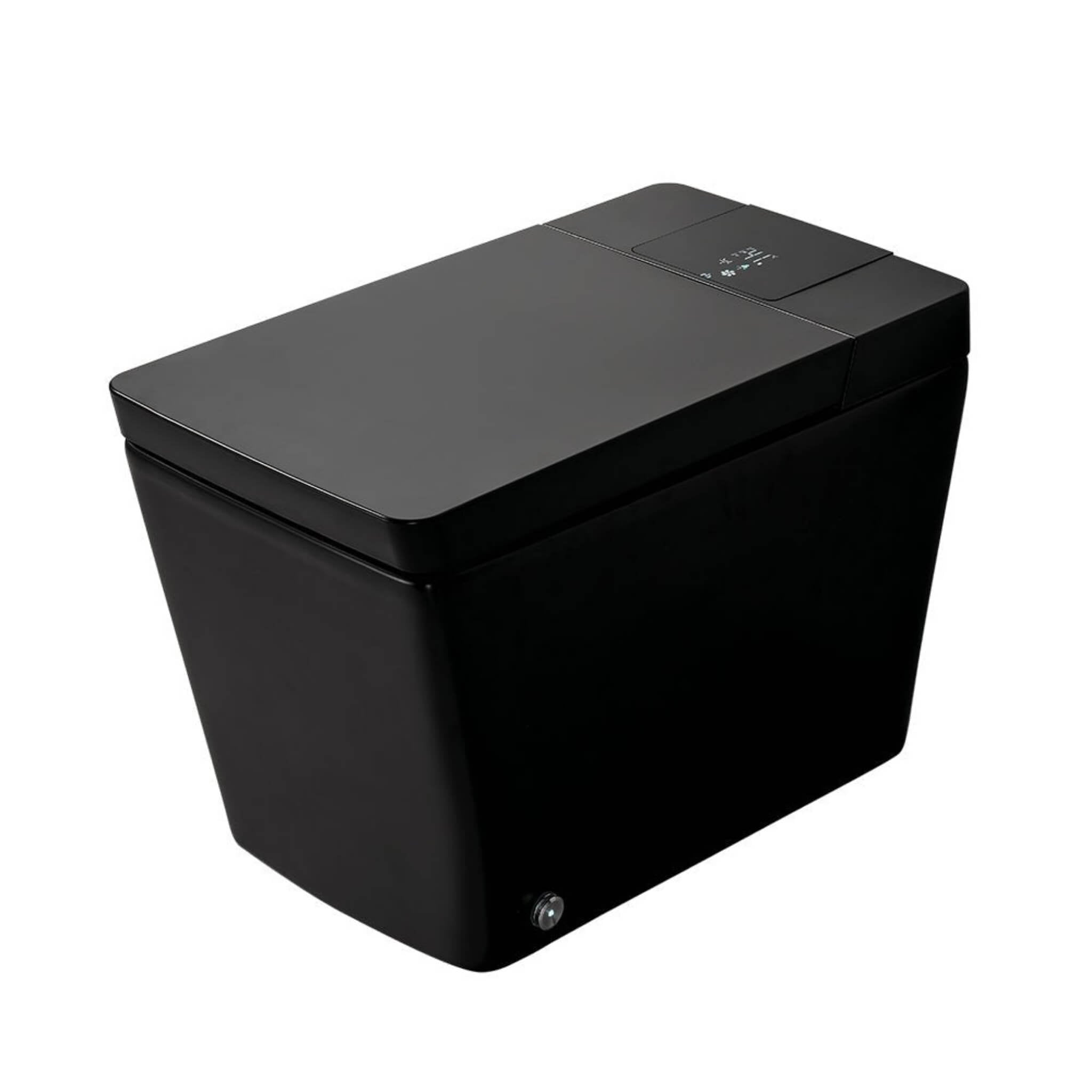 Premium Multifunctional Single-Piece Automatic Smart Toilet With Remote Control, Matte Black (96471352)