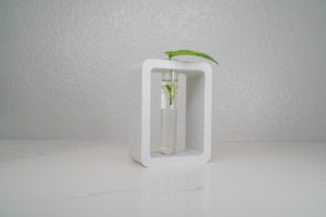 Rectangle Propagation Station