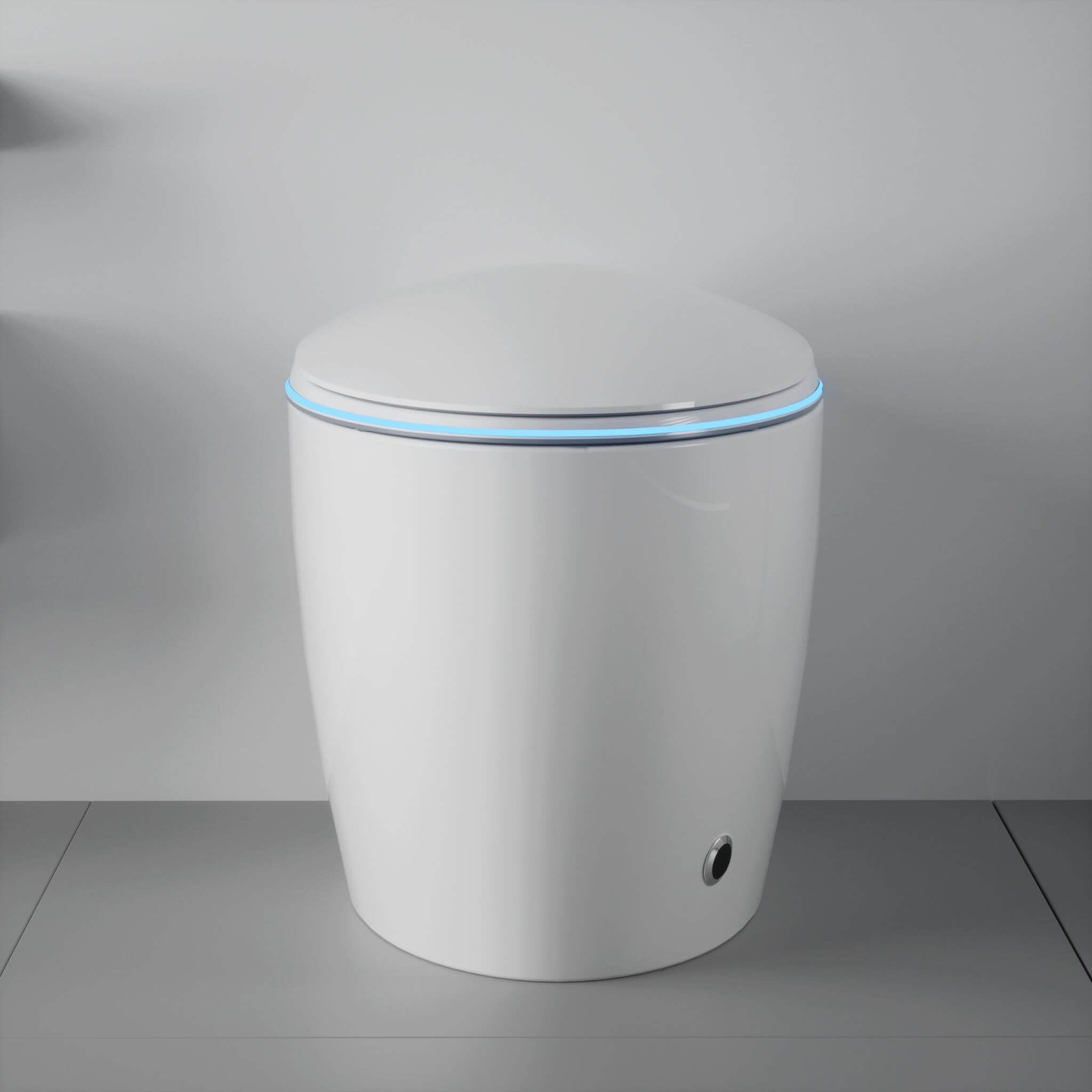 Smart One-Piece Toilet With Bidet, Foot Sensor, LED Display And Dryer (SAK80112)