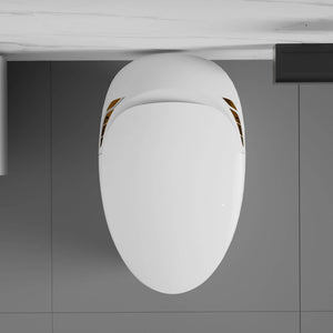 Smart One-Piece Toilet With Bidet, Foot Sensor, LED Display And Dryer (SAK80112)