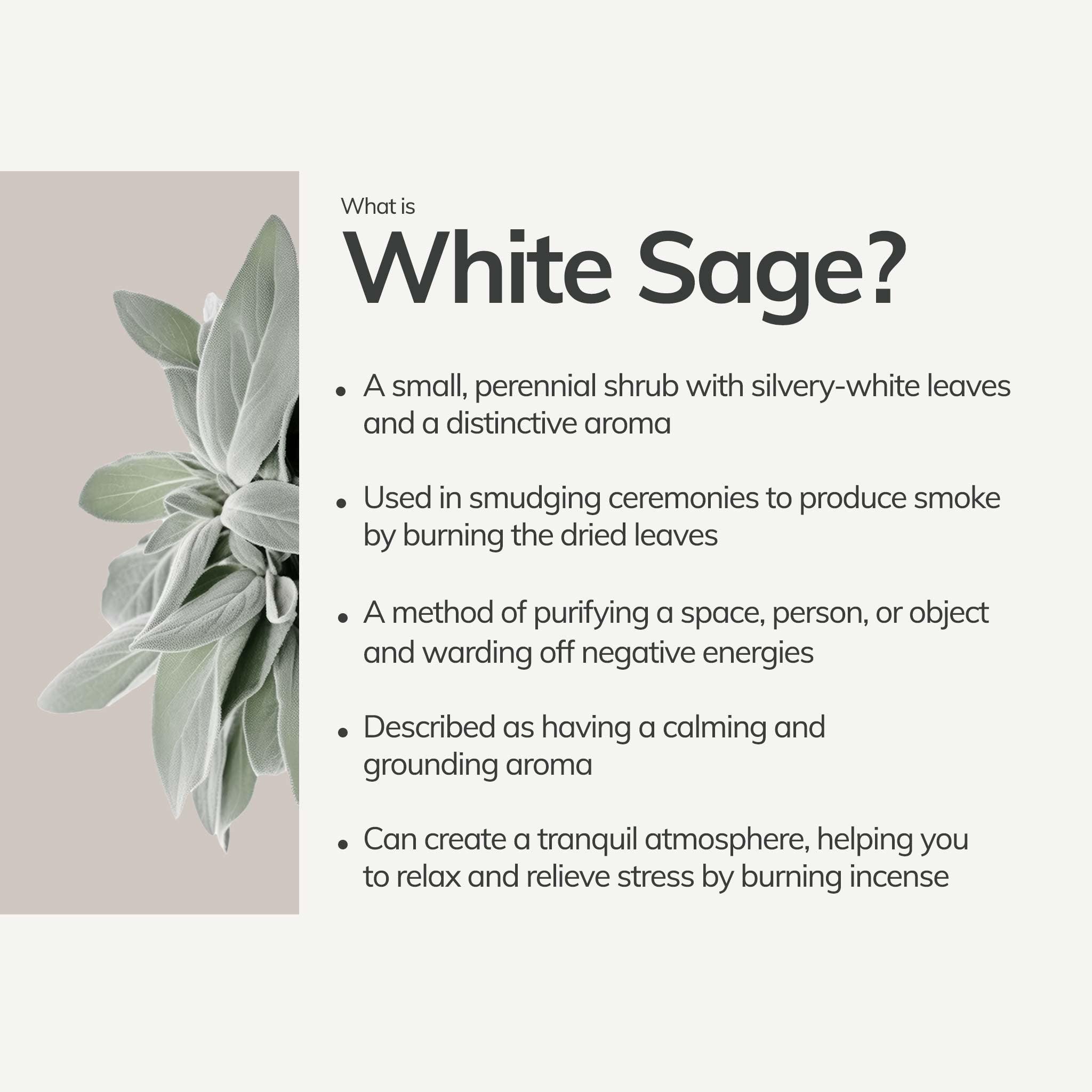 Organic White Sage Smudge Stick - Large