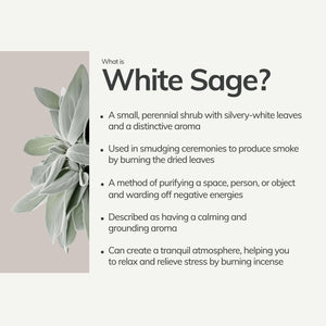 Organic White Sage Smudge Stick - Large